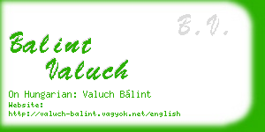 balint valuch business card
